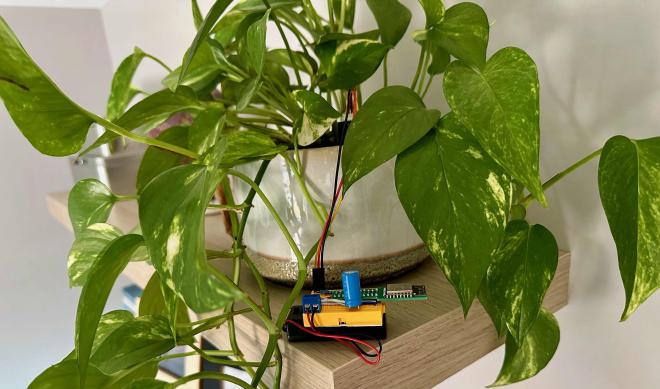 Breadboard-based plant sensor in action