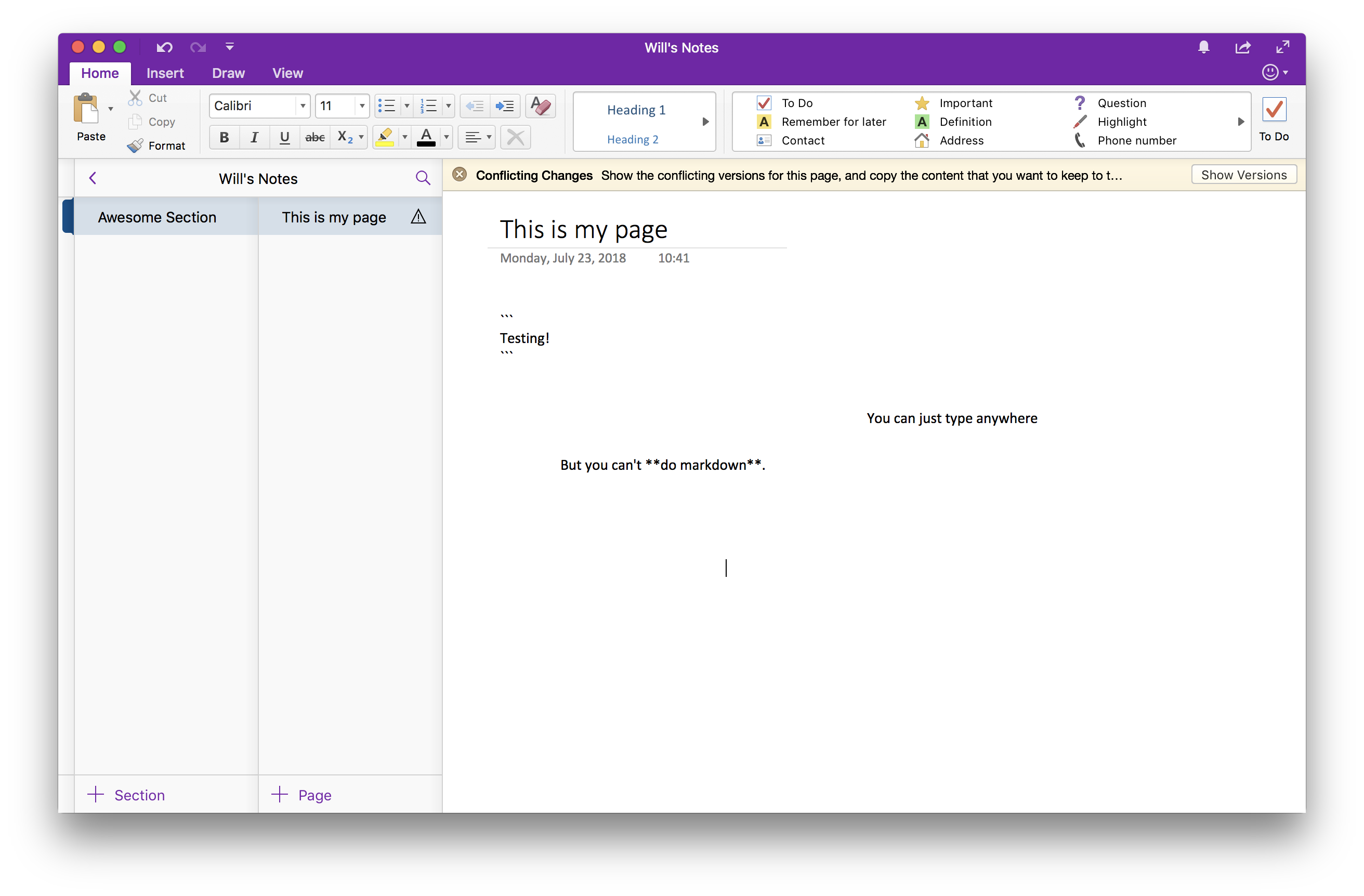 Microsoft OneNote Screenshot